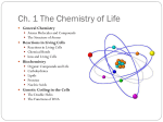 Ch. 1 The Chemistry of Life