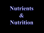 Nutrient PPT