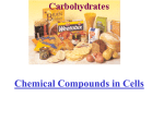 Chemical Compounds in Cells and in Our Food