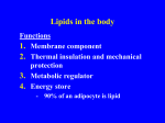 Lipids