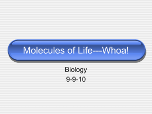 Molecules of Life---Whoa! - Rimac-Science-Web