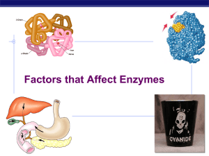 Ch08-1enzymes