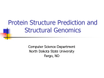 ProteinPrediction