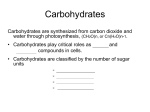 lecture notes-biochemistry-2-carbohydrates