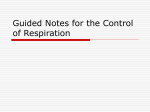 Guided Notes for the Control of Respiration
