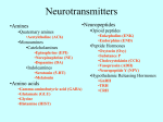 Neurochemistry