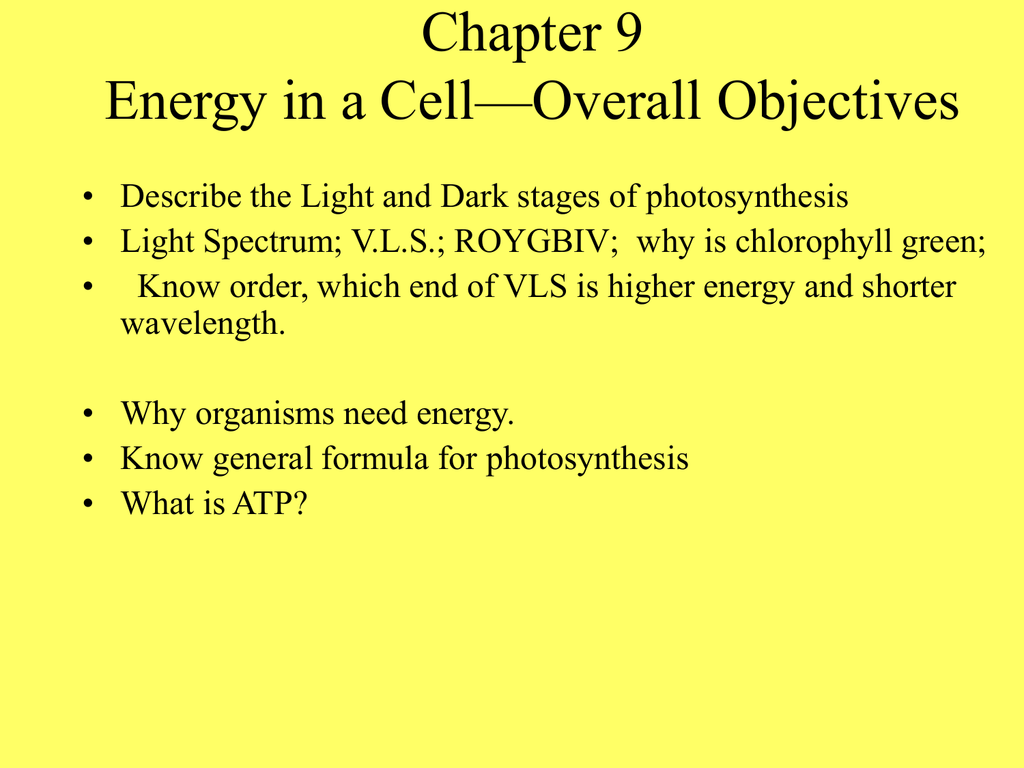 For Chap 9 Biology Photosynthesis For Chap 9 Biology Photosynthesis