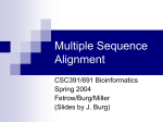 MultipleSequenceAlignment