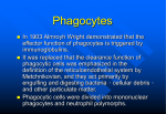 Phagocytes