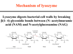 Introduction to enzymes