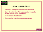 What is MEROPS ?