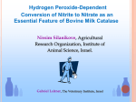 Hydrogen Peroxide-Dependent Conversion of