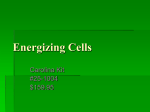 Energizing Cells