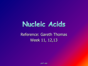 Nucleic Acids - Farmasi Unand