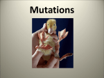 Mutations