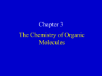 Organic Macromolecules Lecture