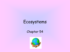 ecosystems - Falmouth Schools