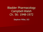 Bladder Pharmacology Campbell-Walsh Ch. 56: 1948-1972