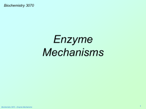 Enzyme Mechanisms - Weber State University