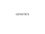 genetics - Yazscience10
