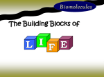 Function of the biomolecule