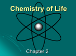 Chemistry of Life Notes (my notes).