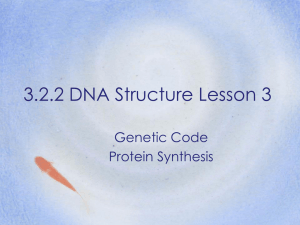 3.2.2 DNA Structure Lesson 3