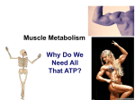 Muscle Metabolism lecture teacher