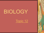 Biology Topic 12