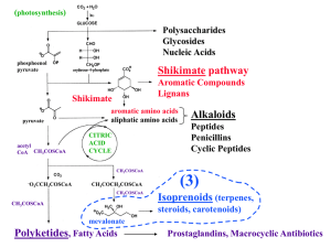 Lecture 03, NEW - terpenes + polyketides