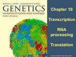 second of Chapter 10: RNA processing