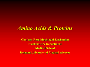 amino acids M