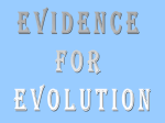 Evidence for Evolu[[[irtion