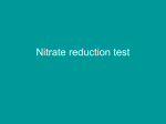 Lab Nitrate reduction test