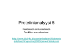 Proteiinianalyysi 5