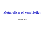 Xenobiotic