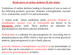 Protein mteabolism