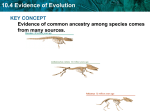 10.4 Evidence of Evolution