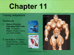 Chapter 11 Training Adaptations