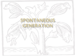 1199734spontaneous generation-km