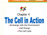 cell exchange2