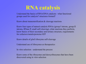 RNA/DNA catalysts