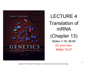 (Chapter 13): Translation of mRNA