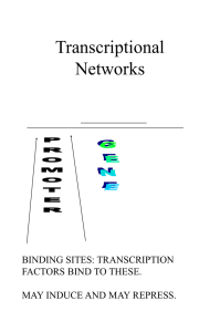 Transcriptional Networks