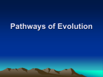 Pathways of Evolution