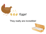 Eggs! - Issaquah Connect
