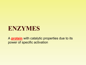 2013 Enzymes ppt