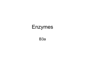 Enzymes