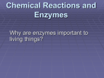 2–4 Chemical Reactions and Enzymes