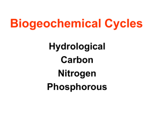 Biogeochemical Cycles